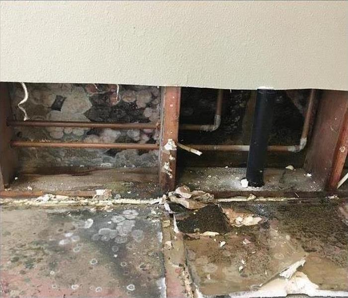 opened wall, mold damage, plumbing visible